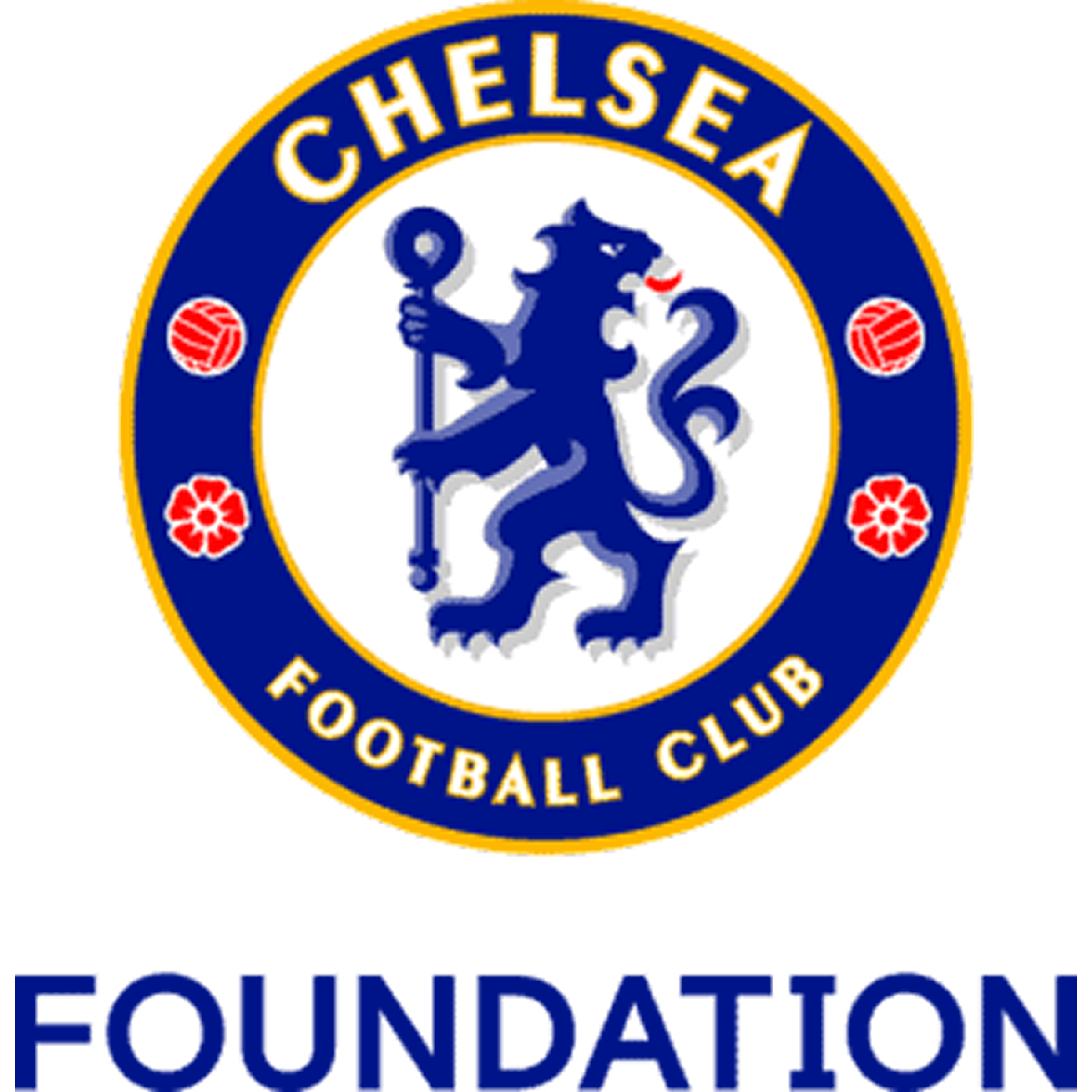 Chelsea Foundation